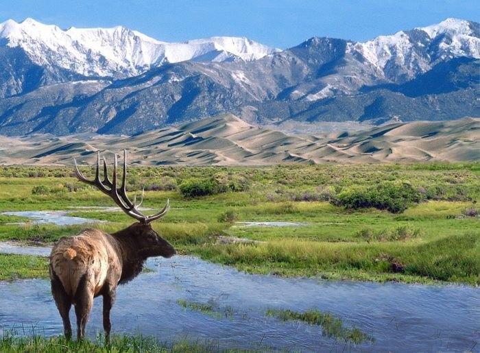 Great Sand Dunes National Park birding hiking tour guides Great Sand Dunes National Park birding hiking tour guides