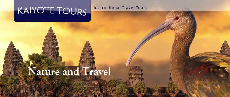 International Travel Schedule International Travel Schedule