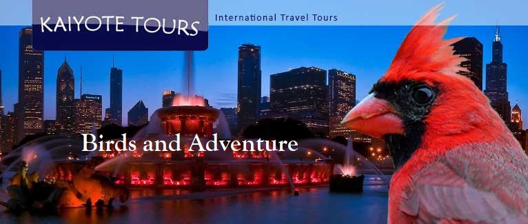 Dates and pricing