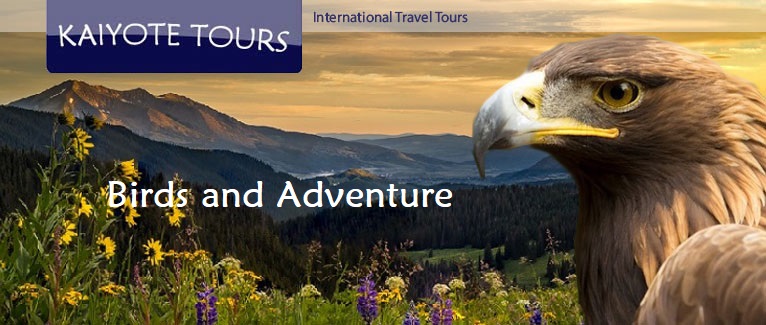 Birding Tours in Canada