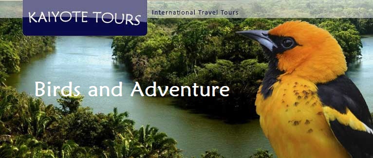 Dates and Itinerary Dates and Itinerary