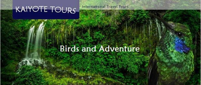 Dates and pricing