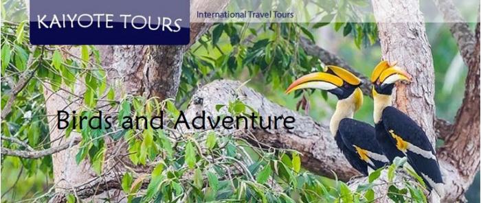 Asia Birding Tours Culture Trips Adventure Vacations Asia Birding Tours Culture Trips Adventure Vacations