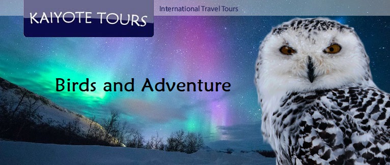 Birding, Wildlife and Nature Tours Birding, Wildlife and Nature Tours