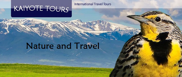 Birding Montana Guided Tours Birding Montana Guided Tours