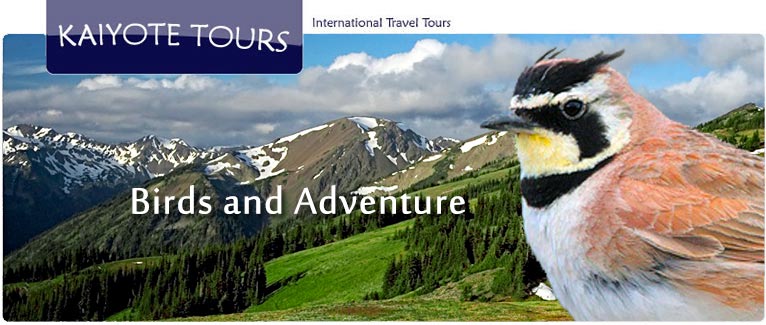 Olympic National Park Hiking Tours Olympic National Park Hiking Tours