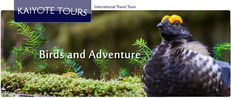 Olympic National Park Nature Tours Olympic National Park Nature Tours