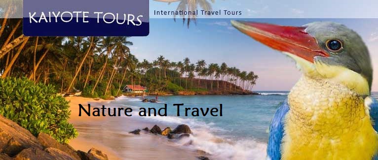 Dates and pricing Dates and pricing