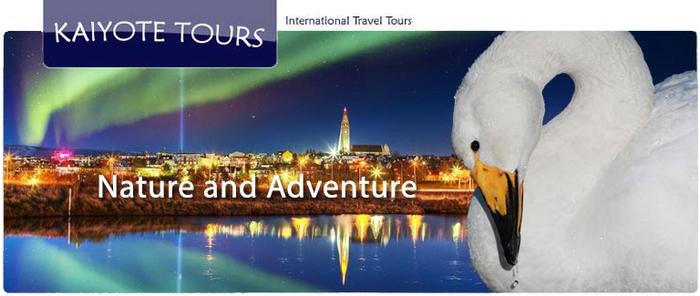 Stockholm Opera Christmas Tours