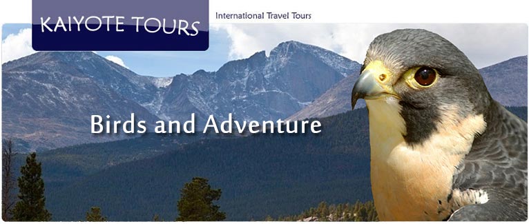 International Birding, Adventure and Travel Tours Reviews International Birding, Adventure and Travel Tours Reviews