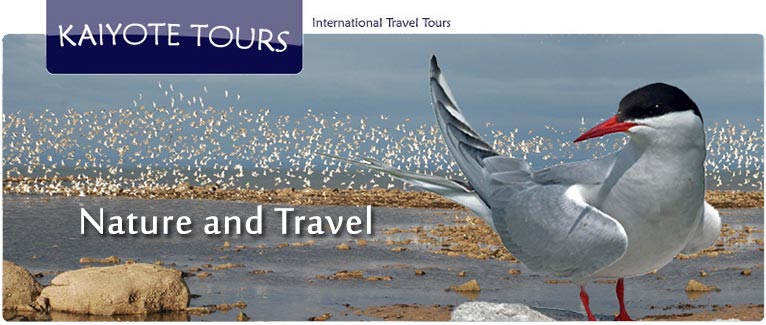 Travel Route Maps Travel Route Maps