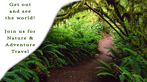 Travel Quotes Travel Quotes